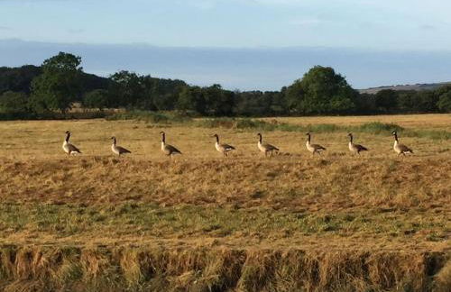 Walkers Rest! - Foto 20