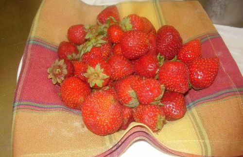 Agriturismo La Dimora Del Contadino - Photo 58