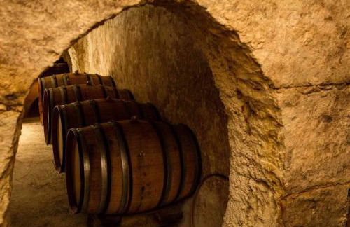 Mas du Notaire - Photo 49