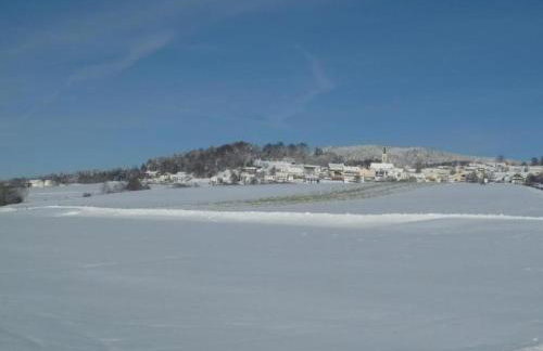 Apartment Wildfeuer by Interhome - Foto 20