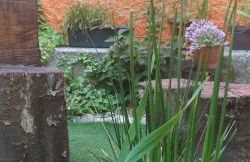 O Cantinho de Góis - Foto 9