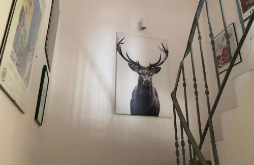 Ferienhaus Birke - Foto 28