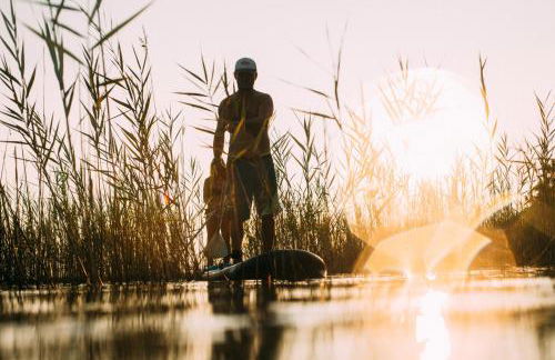 La Cabosse - Foto 19