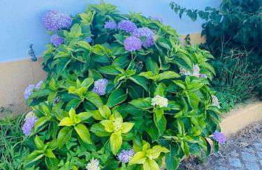 Casa das Clarinhas - Foto 6