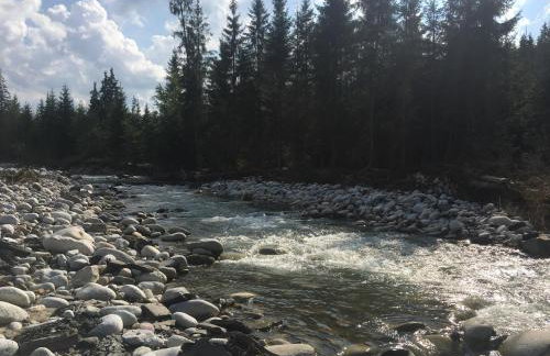 Apartamenty w Jurgowie Świstokówka - Foto 13