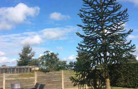 Glenbrae House 3 bedrooms near Nantwich with countryside views on private driveway - Foto 21