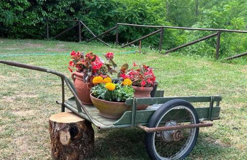 Villa Casa di Pietra en el norte de Lucca, Toscana - Foto 24