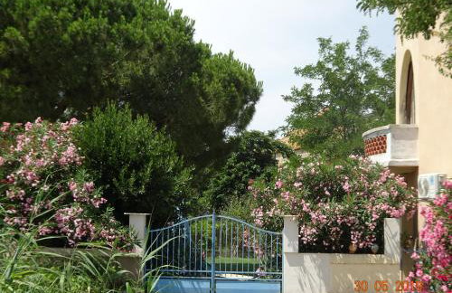 Domaine du Petit Tournebelle - Foto 3