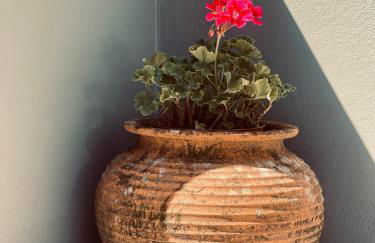 Casa da nascente douro - Foto 69