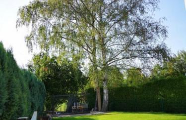 Birkenblick Ferienwohnung Unne - Photo 29