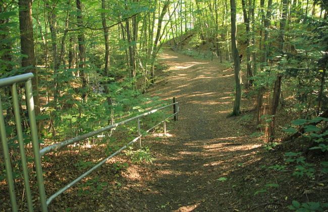 Apartment Haus am Berg, Lonau - Foto 80