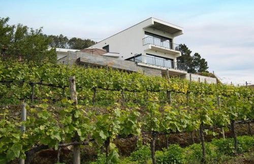 Casa PoliDouro - Vila Marim - Photo 10