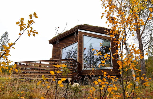 Bjørnfjell Mountain Lodge - Photo 53