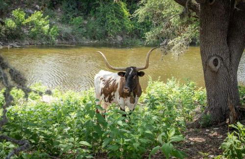 River Hill Ranch, great views & river access! - Foto 51