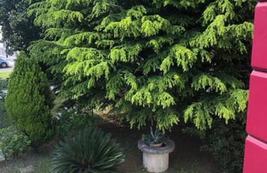 dimora scaldaferro - Photo 38