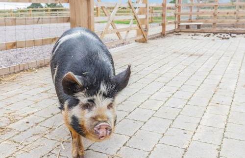 The Old Haybarn - Foto 13