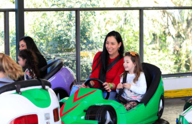 Passaporte Alpen Park - Foto 13