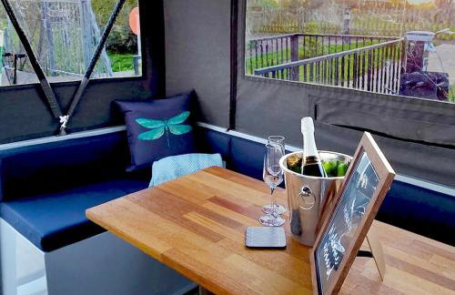 Dragonfly at Aston Marina - Photo 3