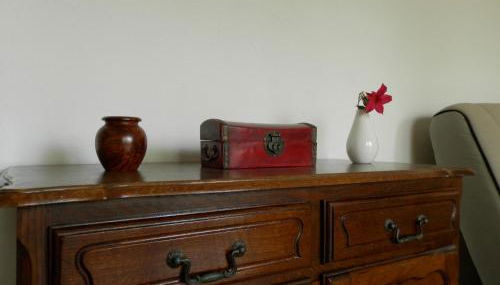 Les Pins . 2 p calme et terrasse - Foto 3