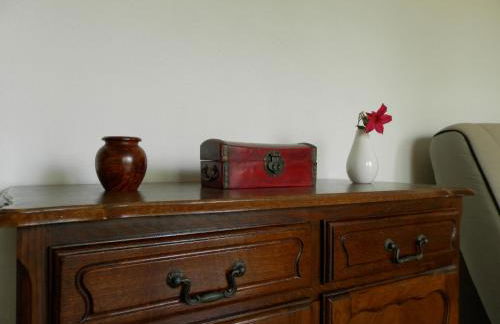 Les Pins . 2 p calme et terrasse - Foto 3