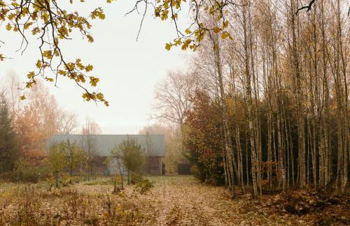 Dom na wsi u Kasi HAJNÓWKA BIAŁOWIEŻA NA WYŁĄCZNOŚĆ - Foto 17