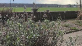 FEWO Ostseeland - Foto 3