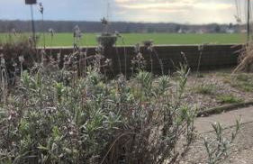 FEWO Ostseeland - Foto 3