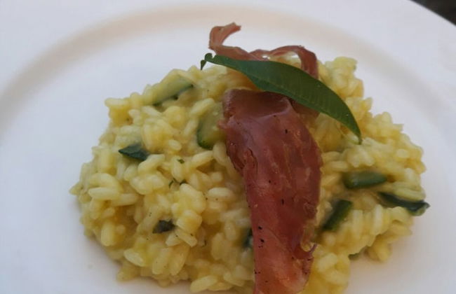 Fattoria L'Olmetto - Foto 40