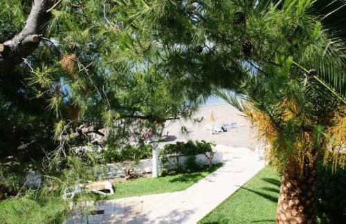 Posidonia Pension - Photo 22