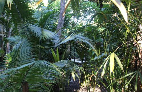 REFUGIO DO SAGRADO MORERE Tropical Lodge - A Casa do Vigía - Foto 79