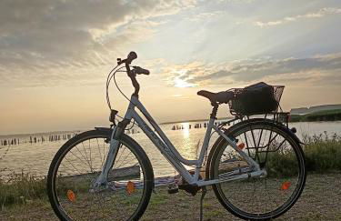 Ferienwohnung BoddenBee - Foto 18