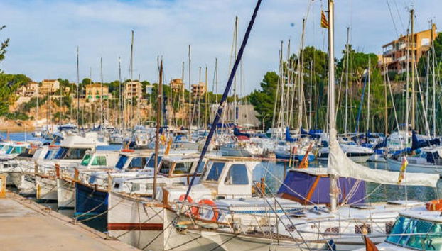 Entdecken Sie die Cuevas del Drach - Halbtages-Bustour - Foto 3