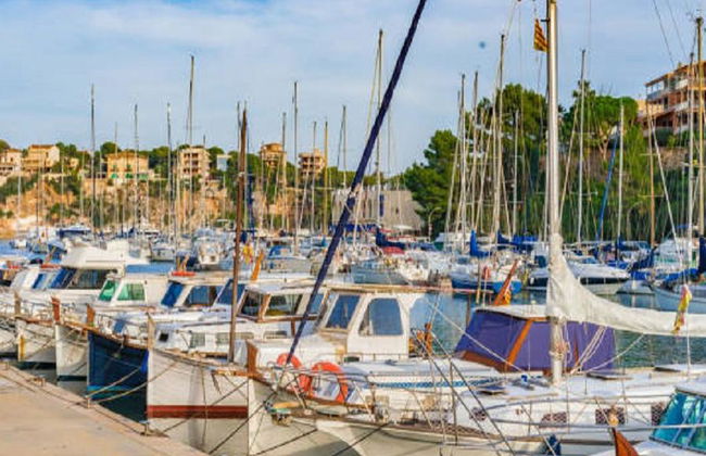 Entdecken Sie die Cuevas del Drach - Halbtages-Bustour - Foto 3