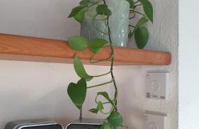 Mansarda Laurent - Photo 27