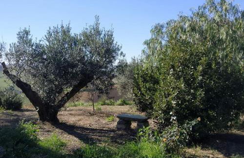 Masseria Baglio Perciata - Foto 8