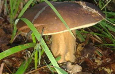 Ospitalita' Rurale Casa Cani - Photo 23