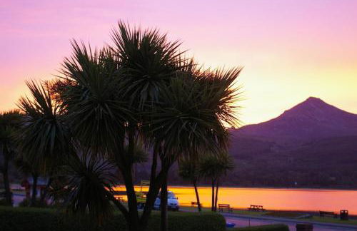 The Shorehouse - Photo 14