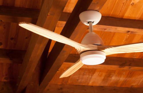 O Chardinet d'a Formiga - Foto 61