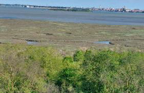 ## Punto FM## - Photo 14