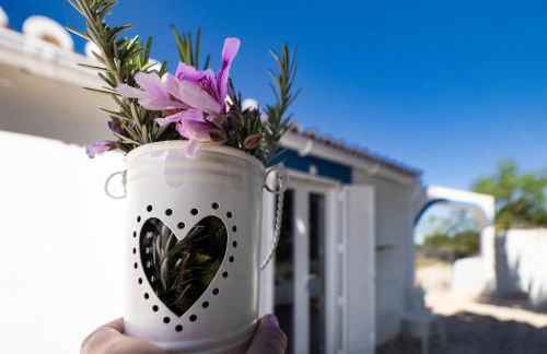 Monte das Estrelas - Foto 10