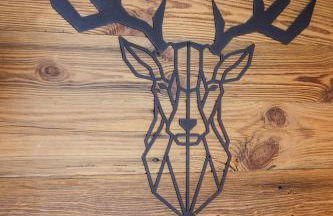 la casse deserte - Foto 18