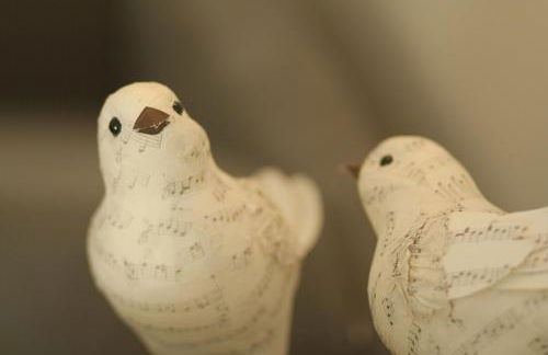 La Chiave Bianca - Foto 48