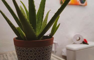 Refugios Parajuru - Casa Manga - Photo 14