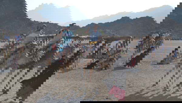 Camel ride in the desert