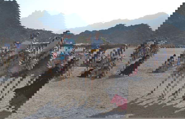 Desert Quad Tour + Camel Ride - Photo 5