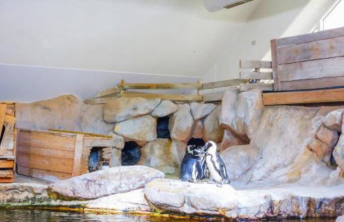 4 Bedroom Gorgeous Home In Bezinghem - Foto 35