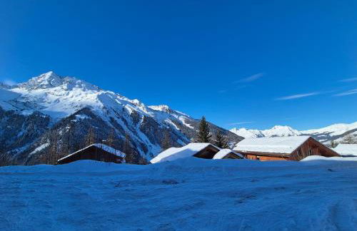 Chalet Cent Names - 8 pers - St Foy Station - Foto 17