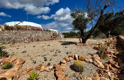 Trulli delle succulente - Foto 22