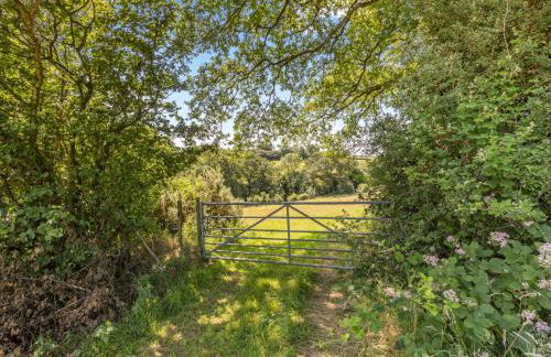 1 Bed in Petrockstow 42982 - Foto 14