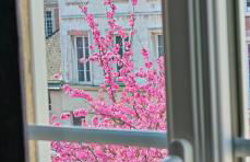 Maison 3 chambres - Jardin de l'Évêché - Photo 14